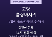 일산 출장마사지 - 정발산 라페스타 순환 … 출장마사지