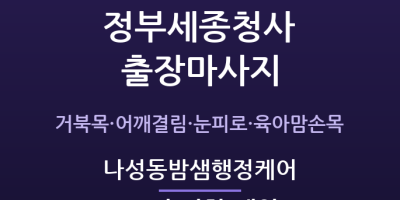 나성동밤샘행정케어